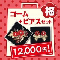 ��1/25�ޤǡ��ۥԥ�����������2�����åȡ���åɡ�2026ʡ�ޡۡ�1����Ρ�