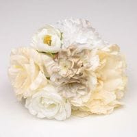 FF-42258���֡�����¤�֡������ܥ꡼/�������