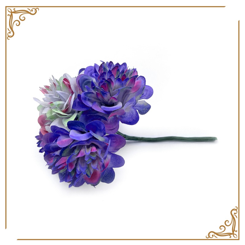 �ڸ���1���åȡ���MAYPE �ԥ�����¤�֥��åȡ�3��