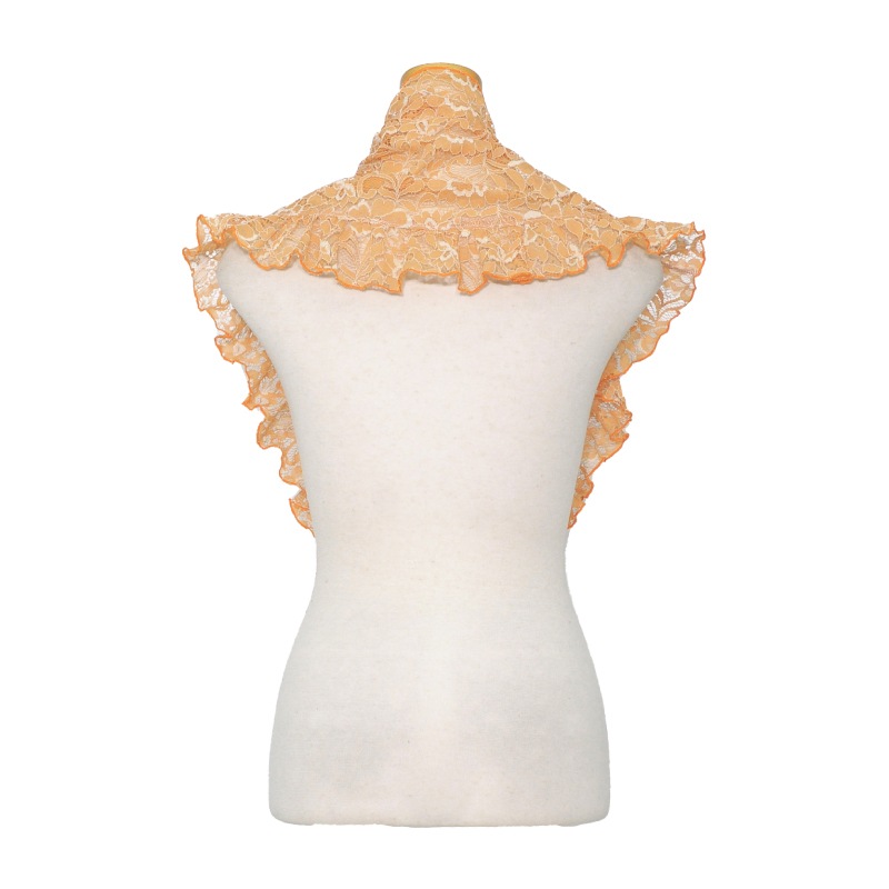 HO-9704 �ե���եԥ������� ����󥸲����졼����1���Τߥ᡼���زġ�