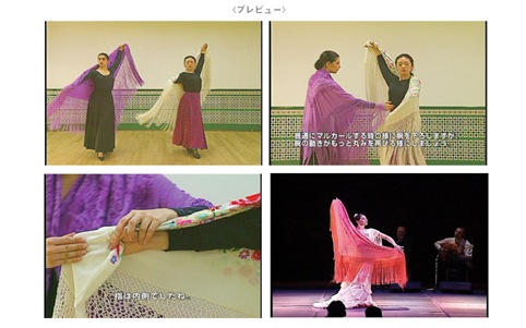 �������ǥ�å�������٥ꥢ���ꥸ�ʥ붵§DVD ��13�����å�