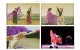 �������ǥ�å�������٥ꥢ���ꥸ�ʥ붵§DVD ��13�����å�
