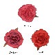 �ں߸˸¤��¤�֡�FF-127����20����