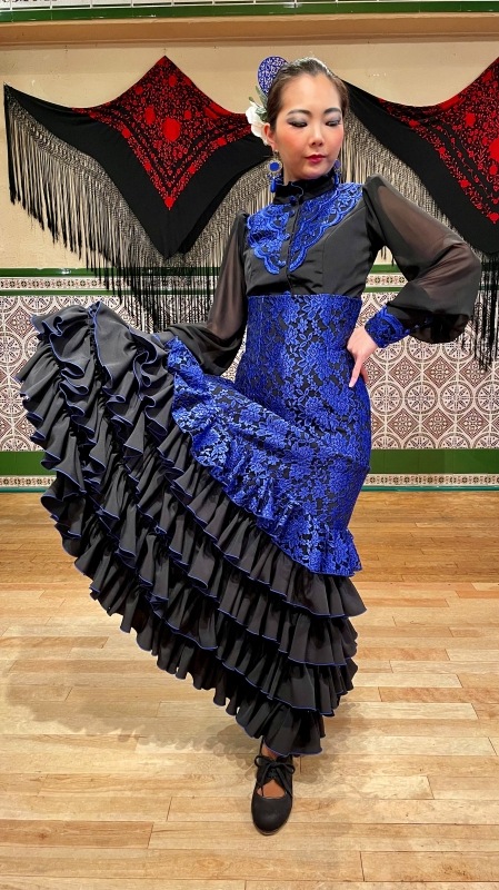 ڸʥHP-1504 դ5ʥեϥȥȥġԡ  ֥å/֥롼졼22P