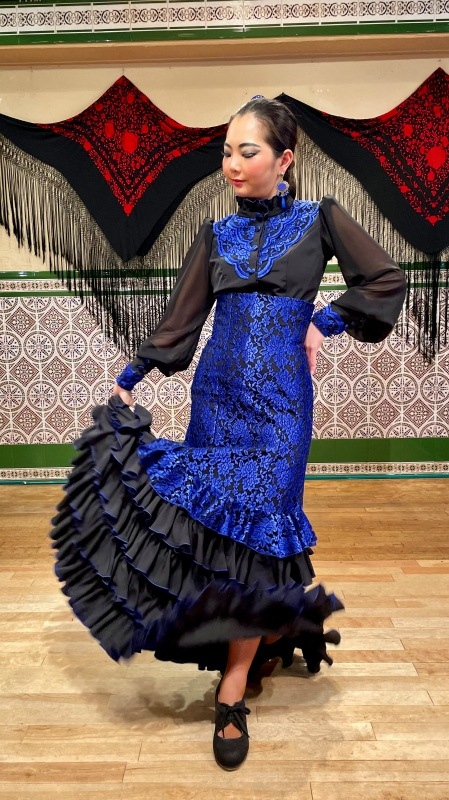 ڸʥHP-1504 դ5ʥեϥȥȥġԡ  ֥å/֥롼졼22P