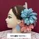 TH-2601��S�ۥ졼���ԥ����������� / ��åɡ�1���Τߥ᡼���زġ�