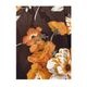 HF-1403 �Ф�ե���չ�碌3�ʥե�륹�����ȡ��֥饦�������26P��
