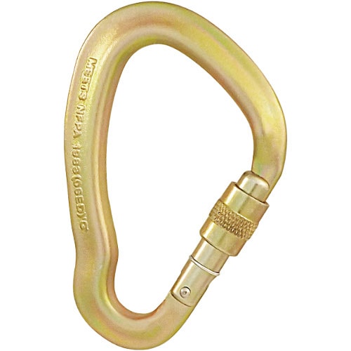 �������� �ӥå����� ������塼������ ����ӥ�