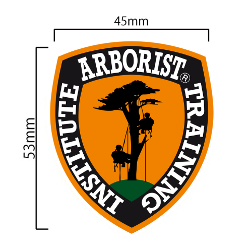 ATI���ƥå����ھ���