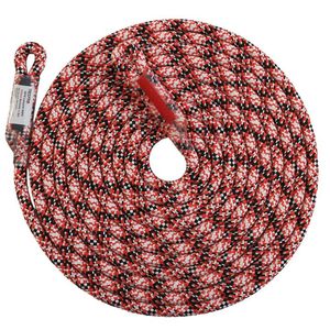 新商品 | TREE CLIMBING WORLD