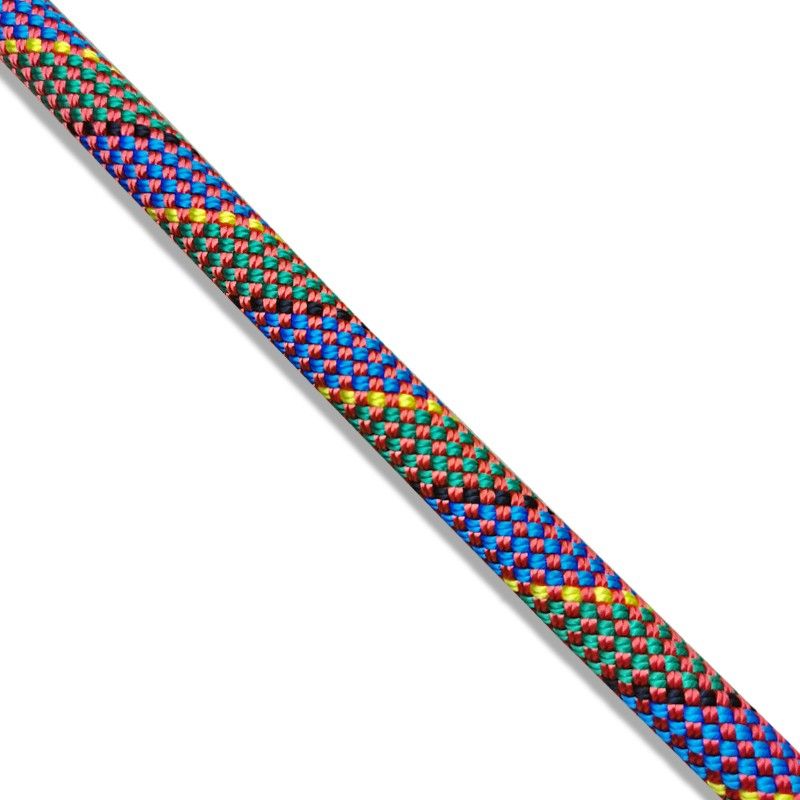 【大特価】カンタロープアイランド（枝変わり） SALE】カンタロープアイランド（枝変わり）