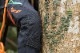 ��TREEPRO��������ۥĥ꡼������ ���饤�ߥ󥰥ѥ�� XS������ �ڥ֥�å���Treezers Zerk Climbing Pants Black 