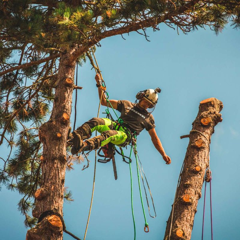 Arbortec AT4060 Breatheflex Pro チェンソーパンツ デザインA-Class1