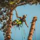 Arbortec AT4060 Breatheflex Pro �����󥽡��ѥ�� �ǥ�����A-Class1 �饤��