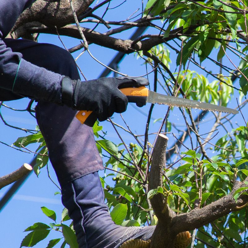 Silky �ĥ륮�ٻ� ���� 200