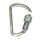 Υå ǥե Dӥ NOTCH Modified D Steel Carabiner