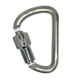 Υå ǥե Dӥ NOTCH Modified D Steel Carabiner