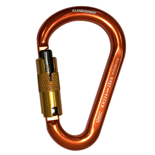 ĥ꡼饤ߥ ӥʡå(쥯ꥨ)ɥSize M