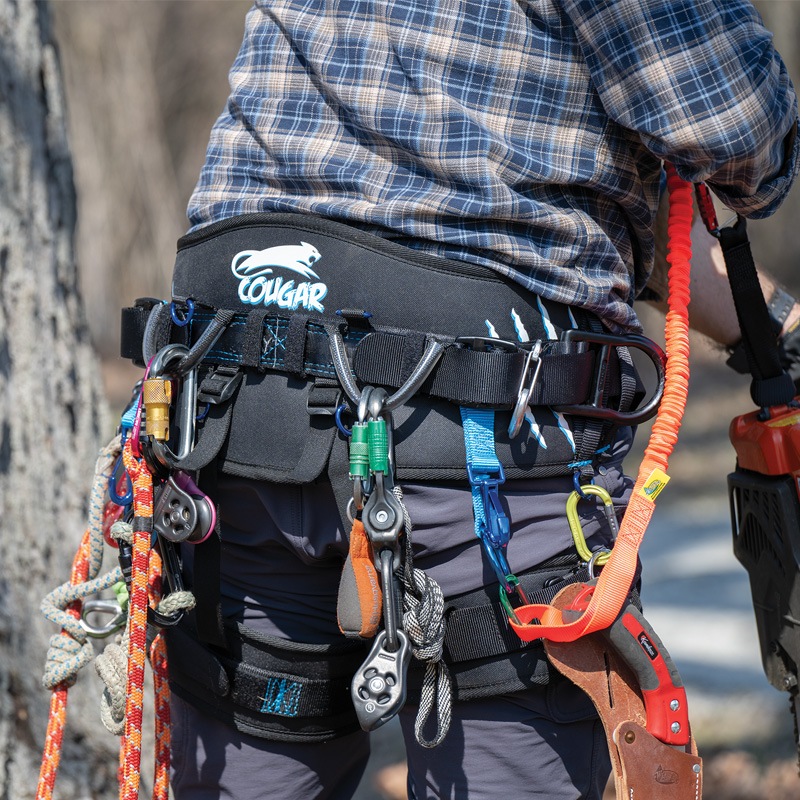 ɥ åȥåդ S / Cougar Saddle with Leg Straps Sڼʡ