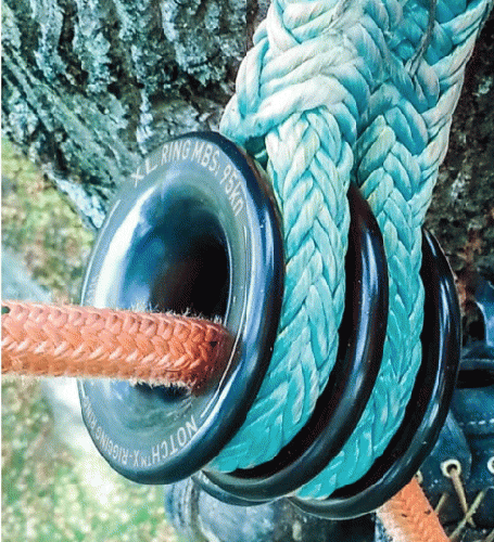 ノッチ ダブルヘッドビーストXリングΦ19mm 6m Notch Rope Logic