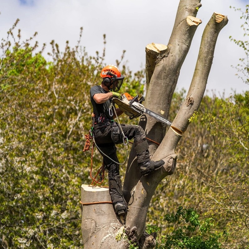 Arbortec AT4061 Breatheflex Pro Freestyle チェンソーパンツ