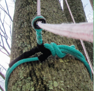 �Υå� X��󥰥���󥰦�19mm  3.6m���ơ��֥�֥졼�ɡ�Notch Rope Logic Stable Braid Sling