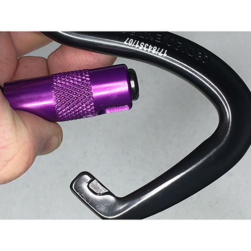 �ޥ󥰡��� �����å� ����ӥ�