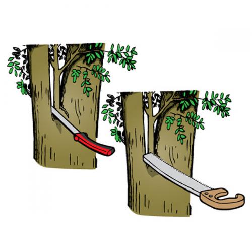 �ĥ륮 ���ȥ졼�� ����30cm