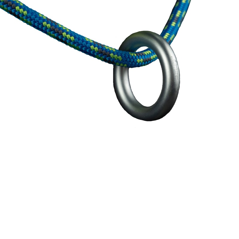 ڸꥫ顼treeMOTION Pro S Limited Edition