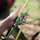 �Υå� ���饤�� �����ץ���� �֥롼 NOTCH GLIDE ROPE GRAB 