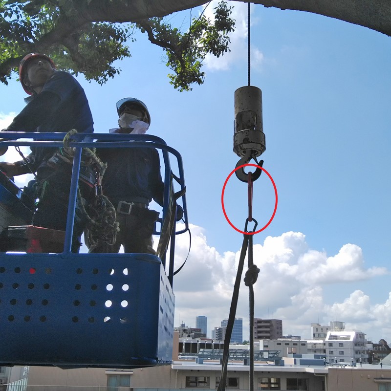 TREEPRO MS MARU ��12.7mm