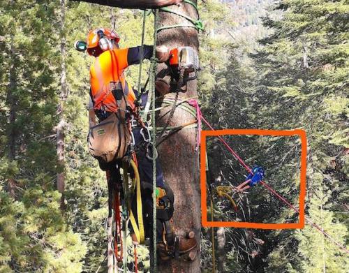 TREEPRO MS MARU ��12.7mm