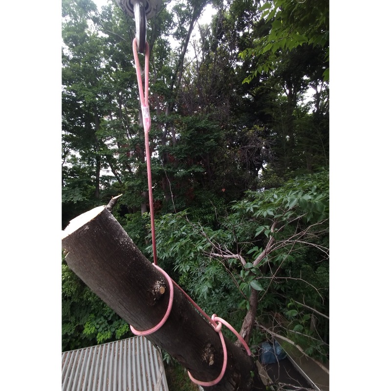 TREEPRO MS�ǥåɥ�������� ��12.7mm 20cmEYE 3m