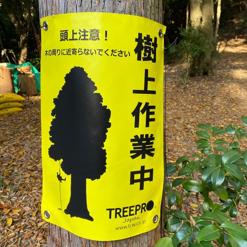 ��������Хʡ� ��������