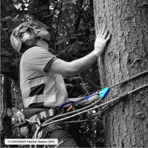 STEIN NEW 切り捨てストラップ 21cm | TREE CLIMBING WORLD