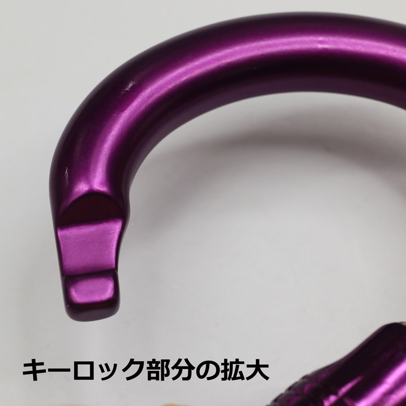 TREEPRO ڥ HMS ӥ ֥롼