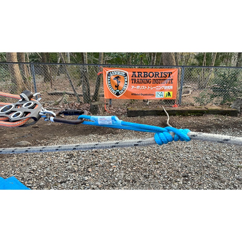 TREEPRO ꥮ󥰥롼 ICE TAIL 8mm 60cm 