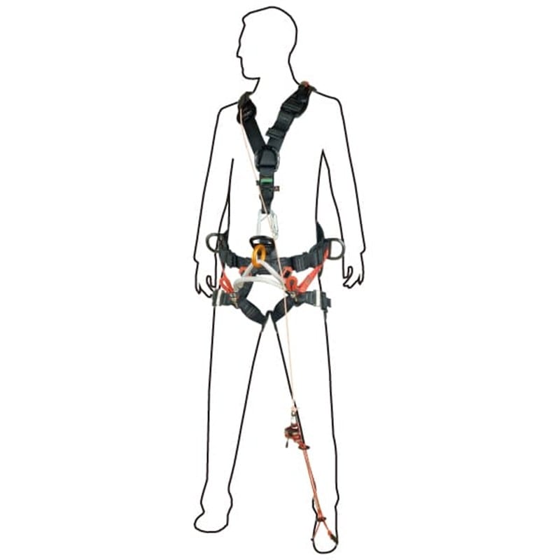 CAMP �ĥ꡼�������� XT TREE ACCESS XT Size:S-L