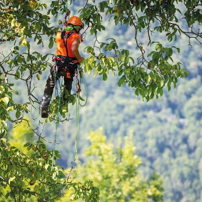 CAMP �ĥ꡼�������� ST TREE ACCESS ST Size:S-L