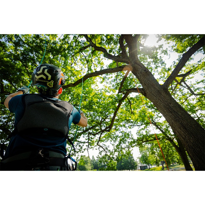 ノッチ チェスター DLX / Notch Chester DLX | TREE CLIMBING WORLD