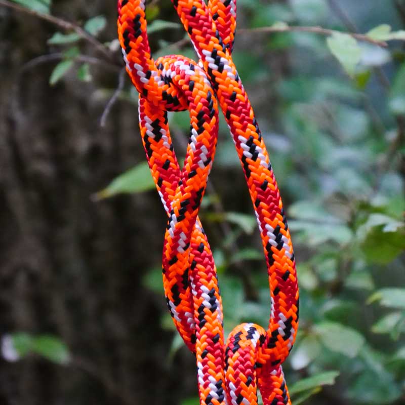 TREEPRO  饤ߥ󥰥 11.5mm1EYE 44󥸡ROPE Climbing Orange, 11.5mm, 1EYE 44m