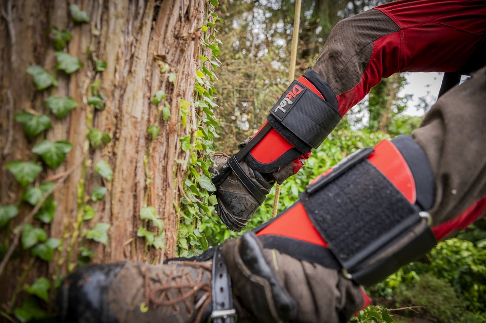 Distel ƥ 硼ȥ ٥륯