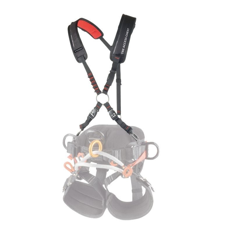 CAMP �ĥ꡼�������� SRT �������� TREE ACCESS SRT CHEST