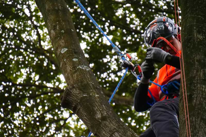 TREEPRO 饤ߥ󥰥 11.8mm59󥸡ROPE Climbing Orange, 11.8mm, 59m, one splice