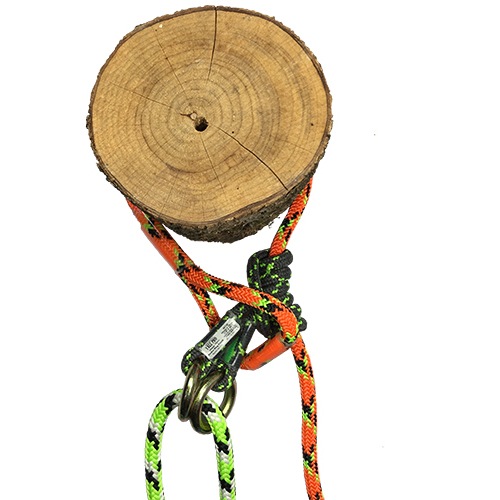 TREEPRO ���硼�������С���11mm �ɥ饴�󥪥�� 1.7m