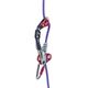 ISC APEX �����ץ��� ���åץޥ󥯥ե�å����ƥ��� ���å� APEX & Chipmunk FLEX Tether  