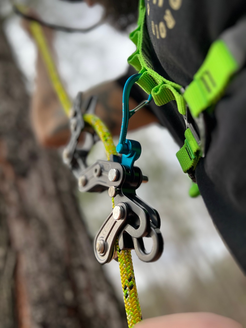 Υå ޥˡ / Notch Equipment Magneato