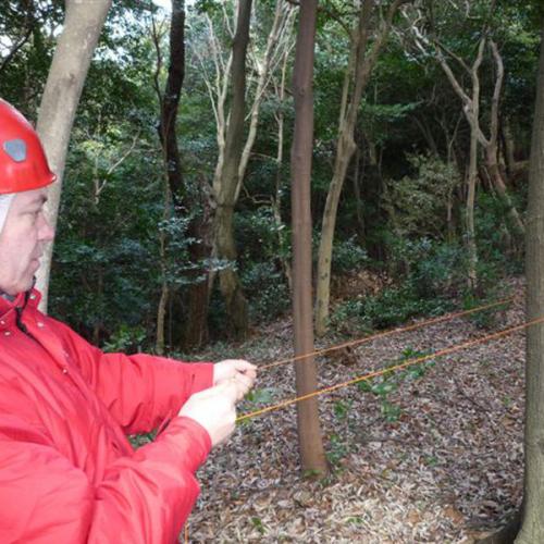 ե󥮥åȥ饤 1.75mm 