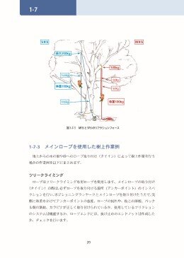 �����׹����(������)���̶���ƥ����� 2025ǯ��