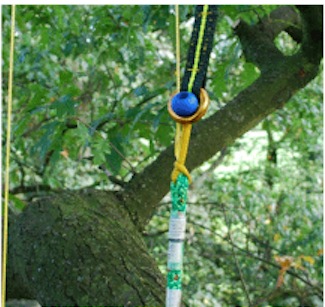 TREEPRO ��ȥ�С��ܡ��� 32mm 